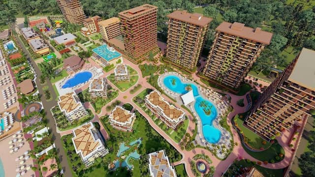 Dreamland Oasis